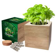 Custom Branded Essentials Desktop Cube Garden with a printed design from Total Merchandise