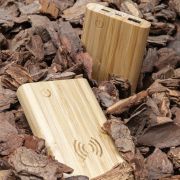 USB-C Bamboo 5000 mAh Powerbank