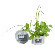 Promotional Mini Greenhouse printed with your company logo in full colour from Total Merchandise