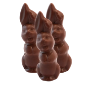 Chocolate Bunnies Treat Box