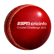 Logo Branded Full Size Cricket Ball in Red customised with your logo from Total Merchandise