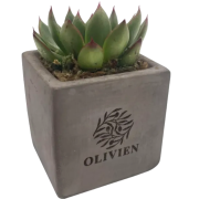 Logo branded Succulent Plant in Concrete Pot in Grey with a design from Total Merchandise