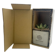 Logo branded Succulent Plant in Concrete Pot in Grey with a design from Total Merchandise
