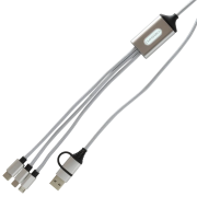 Promotional USB-C 6 Way Light Up Charger in Silver with a design from Total Merchandise