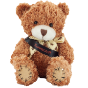 Branded 18cm Paw Teddy Bears with a Sash in Cinnamon with a design from Total Merchandise