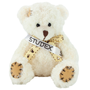 Promotional 18cm Paw Teddy Bears with a Sash in Latte with a design from Total Merchandise