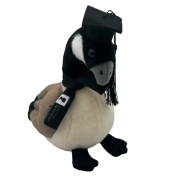 Custom Made Plush Toy