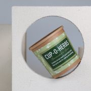 Grow Your Own Herb Kit
