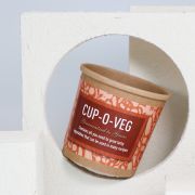 Grow Your Own Vegetable Kits