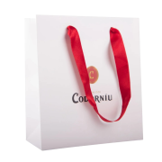Promotional A4 Antalya Satin Ribbon Gift Bag in White with a design from Total Merchandise