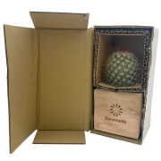 Logo Branded Cactus Plant in Wooden Plant Pot engraved with your company logo from Total Merchandise