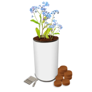 Branded Seed tin Gardens with a full colour design from Total Merchandise