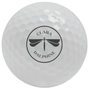 Custom Titleist Pro V1 Golf Balls Printed with Your Logo from Total Merchandise