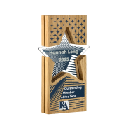 Promotional Oak with Acrylic Inset Star Award in Wood with a design from Total Merchandise