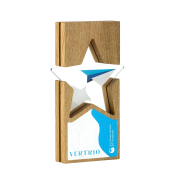 Custom Oak with Acrylic Inset Star Award with a design from Total Merchandise
