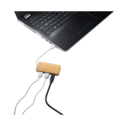 Custom Bamboo USB Hub with Type-C with a design from Total Merchandise