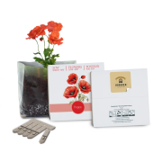 Custom Branded Essentials Letterbox Gardens in White with poppies branded with your company logo