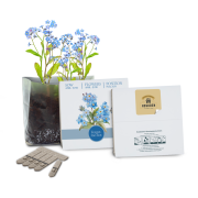 Printed Essentials Letterbox Gardens in White with forget-me-nots branded with your company logo