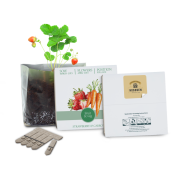 Personalised Essentials Letterbox Gardens in White with fruit & veg branded with your company logo