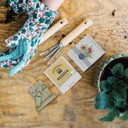 Lifestyle image of the Super Express Essentials Small Standard Seedsticks® from Total Merchandise