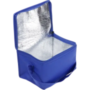 Arlene Cooler Bag