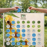 Giant Connect 4
