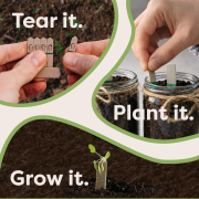 Image showing how to plant the seedsticks by Total Merchandise