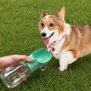 300ml Portable Pet Water Bottle in Light Green branded with your logo from Total Merchandise
