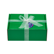 Logo Branded Festive Maxi Gift Box in Green branded with your logo from Total Merchandise