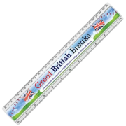 30cm Insert Ruler in clear plastic from Total Merchandise