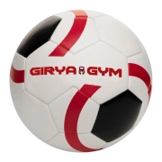 Custom Printed Footballs with a Logo Branded by Total Merchandise