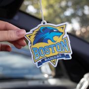 Car Air Fresheners