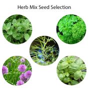 Desktop Garden Available To Order In Different Seed Varieties From Total Merchandise