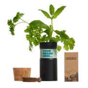Herb Mix Desktop Garden Tube