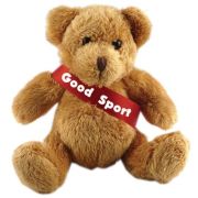 Personalised 5 Inch Robbie Bear With Sash for Childrens Gifts