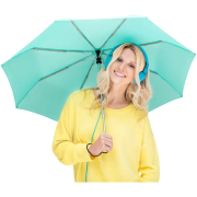 Fare Auto Mini Alu Umbrellas