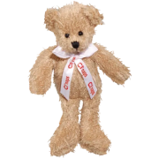 Promotional Scraggy Teddy Bears for Marketing Gifts