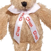 Branded Teddies for Childrens Events