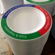 Unbreakable Plastic Plates