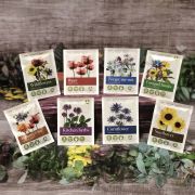 Seed Packets