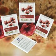 Seed Packets