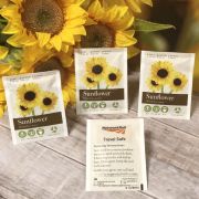 Seed Packets