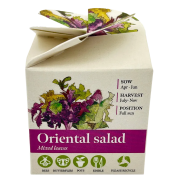 Custom Printed Tiny Terracotta Cubes with Oriental Salad with a Company Logo from Total Merchandise