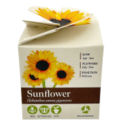 Custom Printed Tiny Terracotta Cubes with Sunflower Seeds with a Company Logo from Total Merchandise