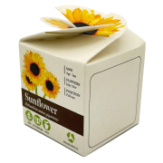 Promotional Tiny Terracotta Cubes with Sunflower Seeds with a Company Logo from Total Merchandise