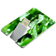 Promotional USB Flashdrive Credit Card business gifts
