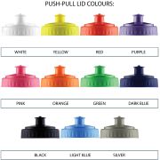 500ml Viz Sports Bottles
