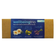 Branded Plant Pot for Corporate Merchandise