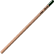 Promotional Sprout Pencils with logo from Total Merchandise