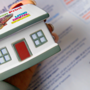 Express Full Colour Printed Stress House